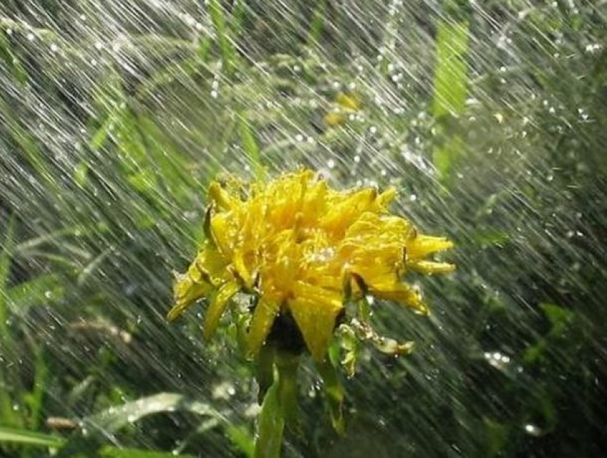 Первомай в Молдове будет ветреным и дождливым