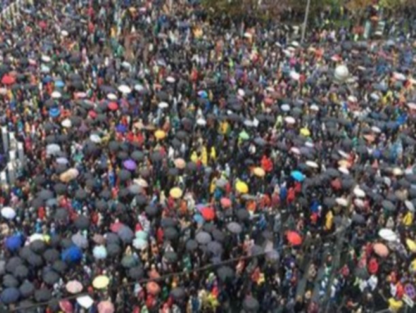 Какая политическая сила в Молдове самая активная?