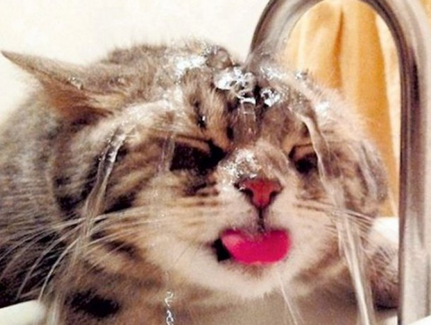 В четверг к жаре добавится повышенное атмосферное давление 