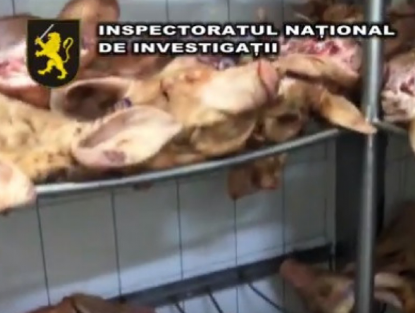 В Кишиневе конфискована большая партия опасного мяса на 100 тыс. леев