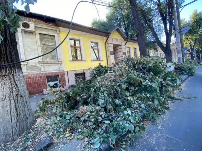 «Зеленое хозяйство» занялось очисткой и вырубкой опасных деревьев в Кишиневе