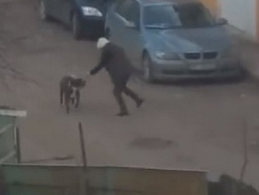 Собаки кастрировали мужчину и искусали девушку с ее отцом в Яссах