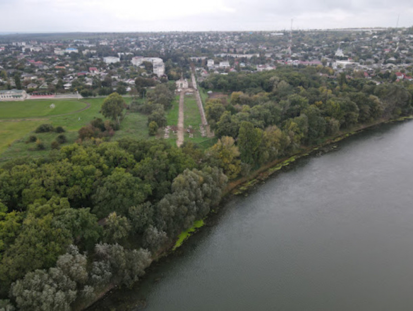 Преступники избили, связали и бросили жителя Кишинева в лесу Криулен