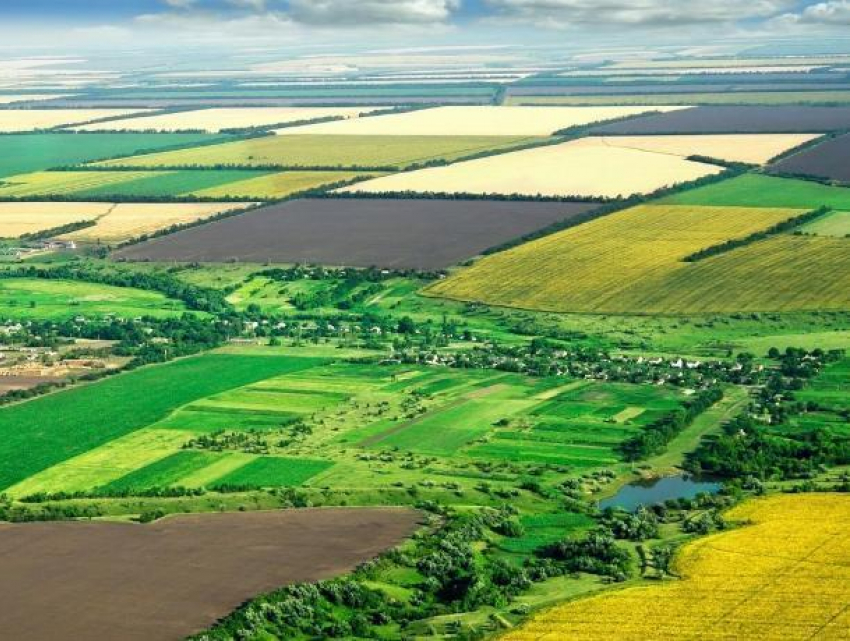 Стало известно, как будет оплачиваться аренда сельскохозяйственных земель