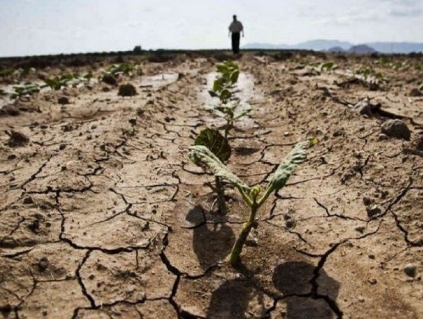 Молдова - в топе стран мира в рейтинге засухи