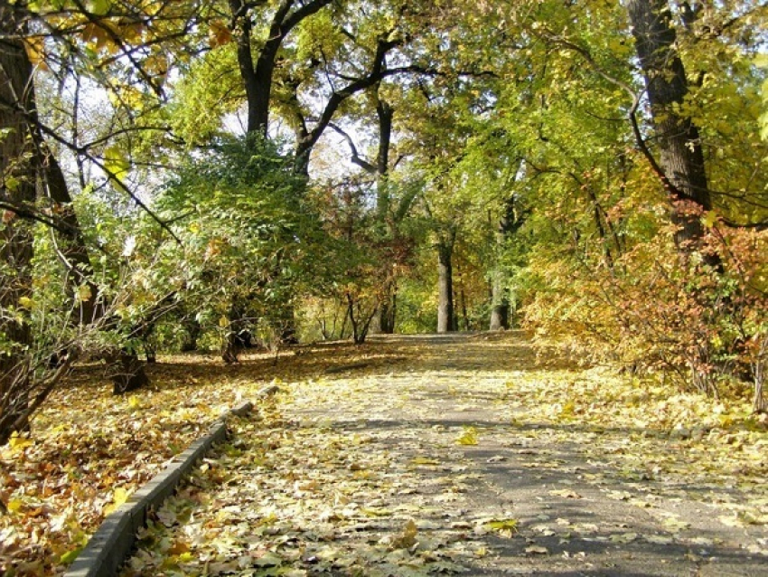 Жителям Кишинева предложили самим придумать проект сквера на Рышкановке