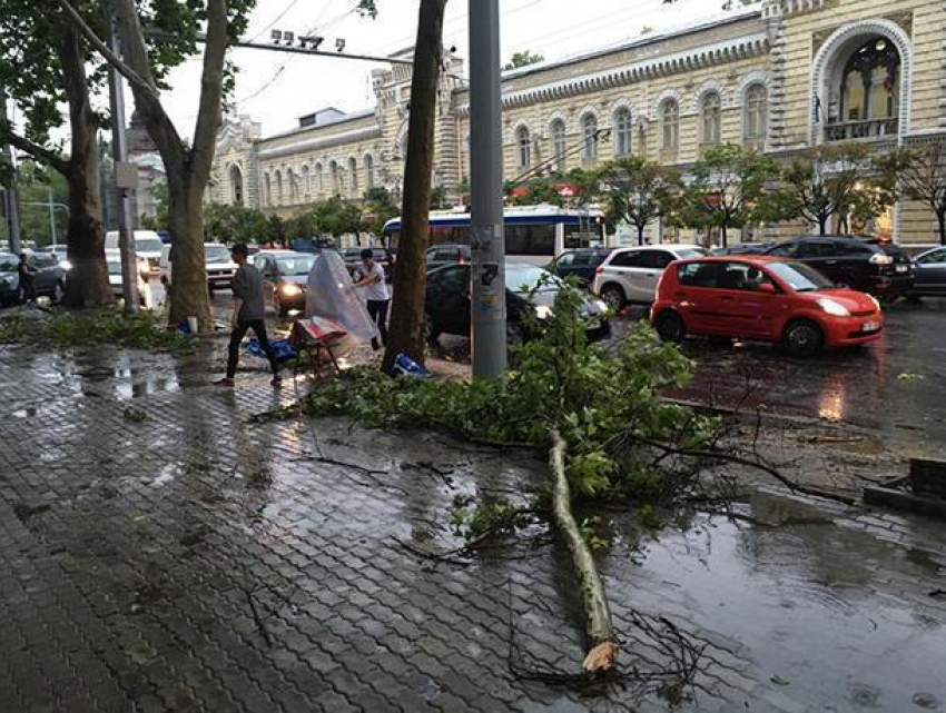"Апокалипсис» вернулся: в Кишиневе жуткий ливень, падают деревья 