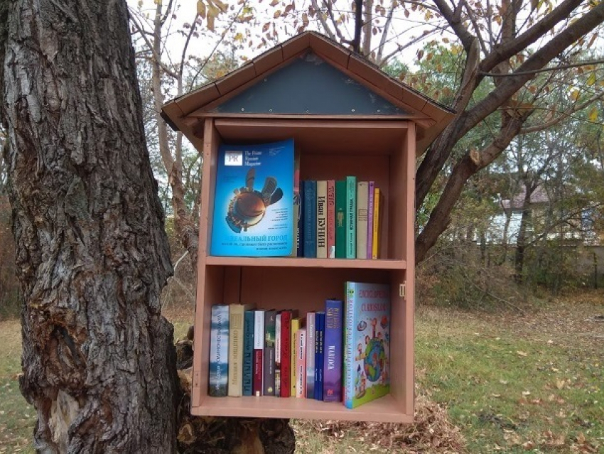 В Рышкановском парке открылась летняя библиотека