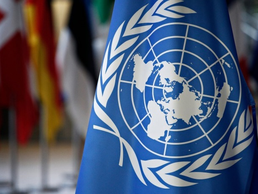 День ООН - поздравление от Зинаиды Гречаный