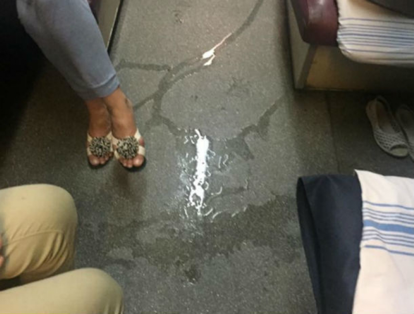 "Мокрый» скандал: пассажиров украинского поезда затопило во время дождя