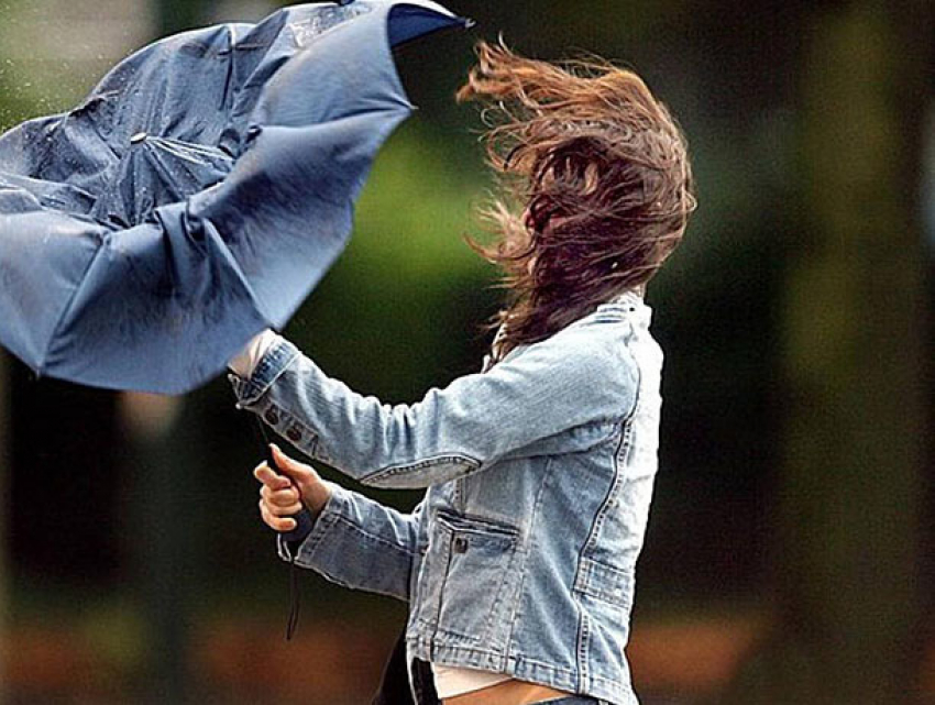 Сильный ветер обрушится на Молдову: введен желтый код опасности 