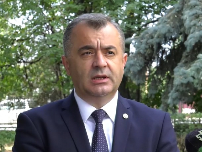 Правительство намерено восстановить сектор семеноводства в Молдове
