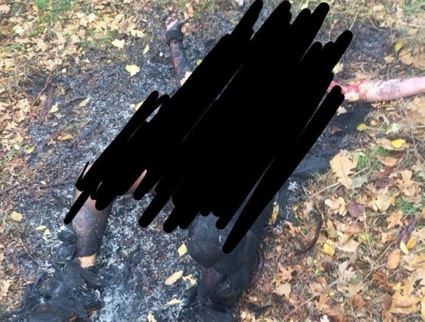 Зверское ритуальное убийство: оккультисты распяли и сожгли иностранца под Одессой