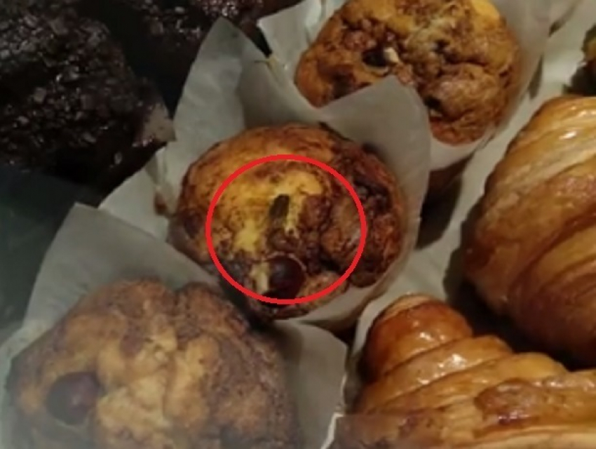 В кишиневском ТРЦ жирный таракан продегустировал выпечку в кондитерской