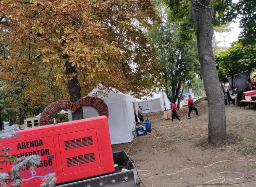 На Дне вина из-за торговых палаток пострадали зеленые насаждения в парке Кафедрального собора