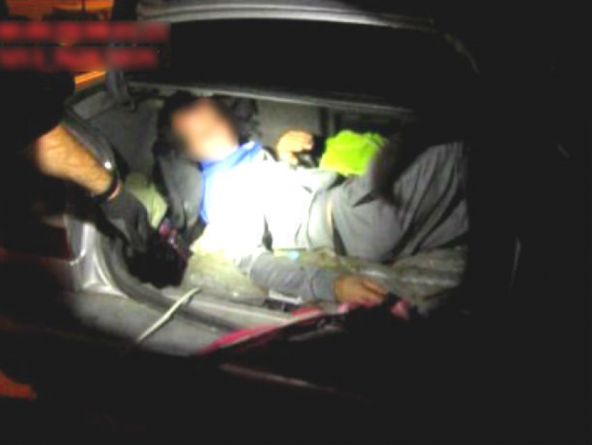 «Запрещенного» друга попытался провезти гражданин Молдовы в багажнике на Украину