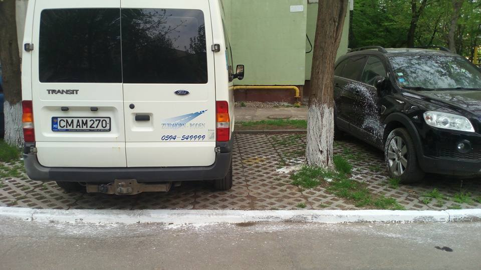 В Кишиневе вместе с деревьями белят машины, траву и асфальт