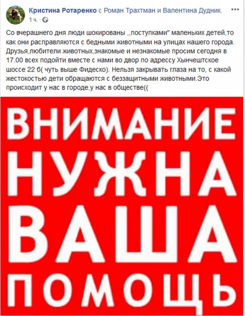 Дно пробито: жители одного из домов на Телецентре учат своих детей убивать  бездомных животных