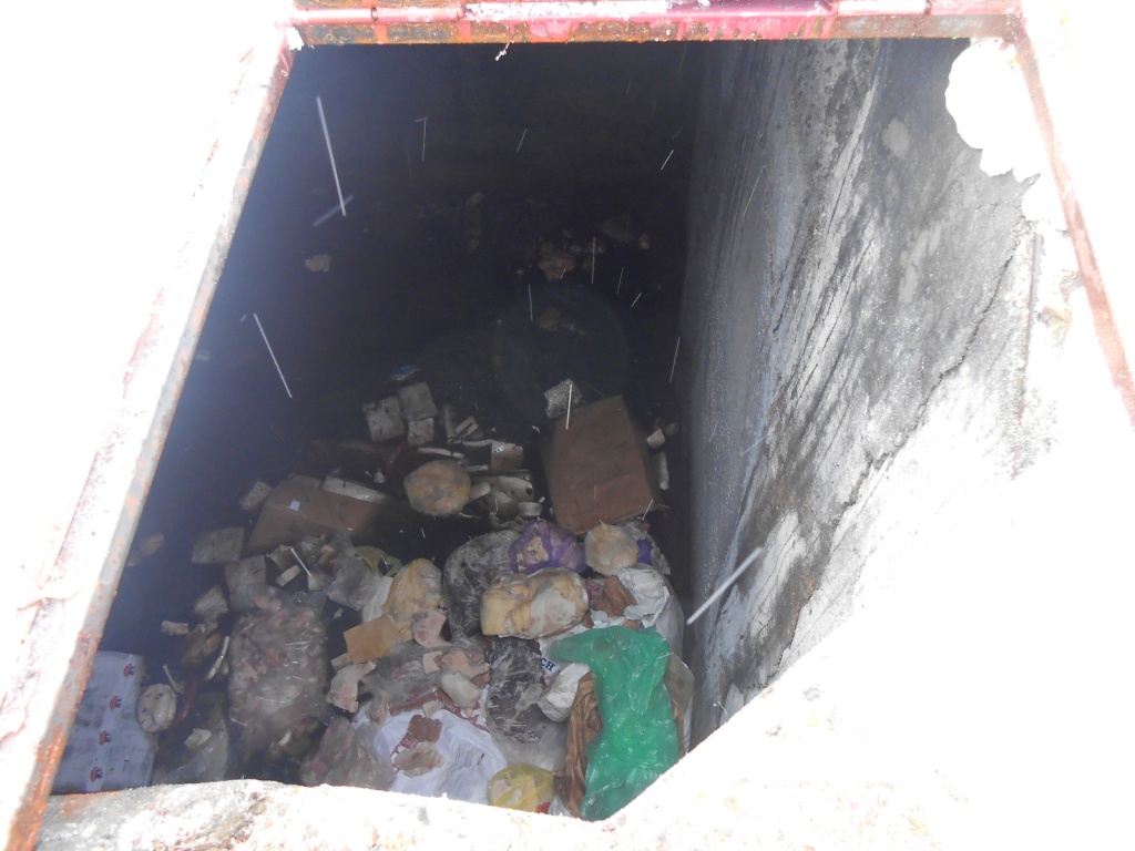 DSCN2464.jpg