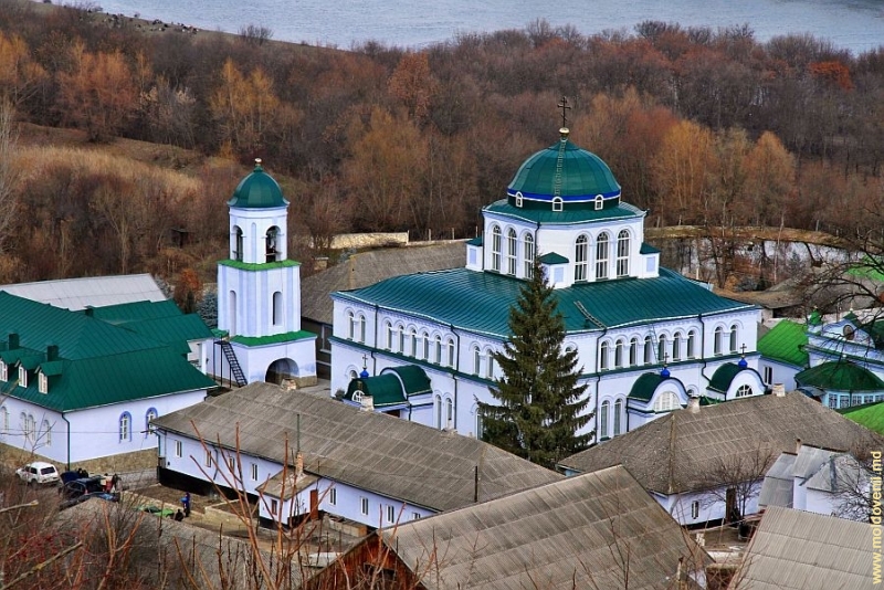 жапка9.jpg