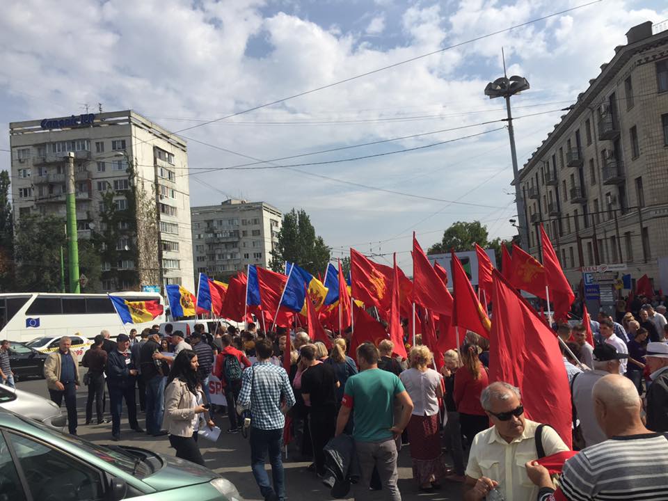 11885206_1247544691938200_2615953686011874238_n.jpg 11885206_1247544691938200_2615953686011874238_n.jpg