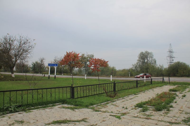 roghi.jpg