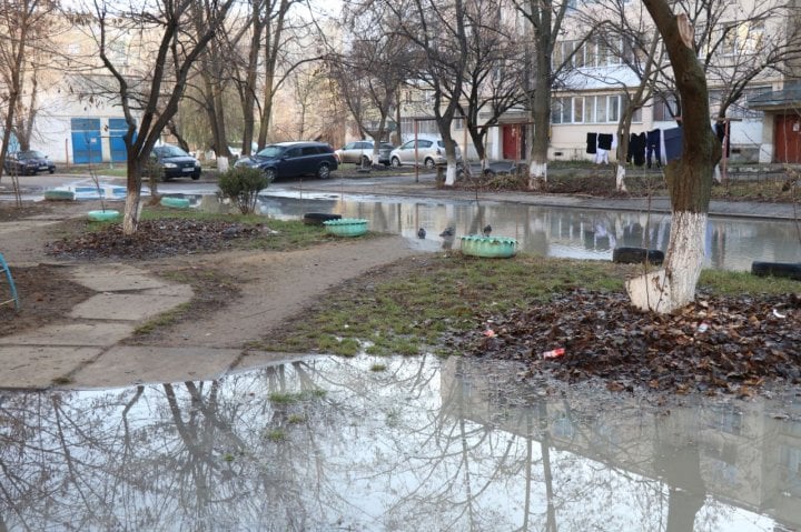 dvor2.jpg