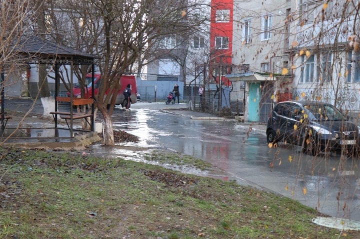 dvor3.jpg