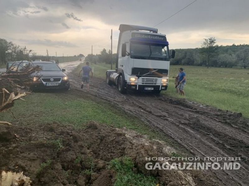 дерево1.jpg