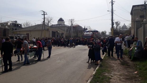 сороки4.jpg