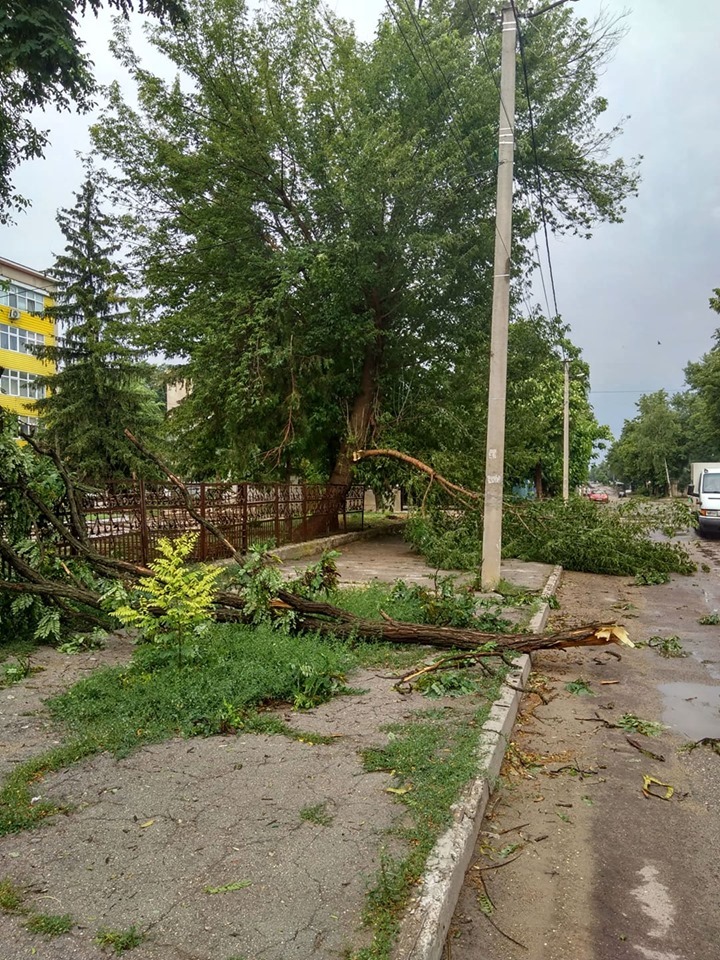 65648843_2756235854405187_2240283060744486912_n.jpg 65648843_2756235854405187_2240283060744486912_n.jpg