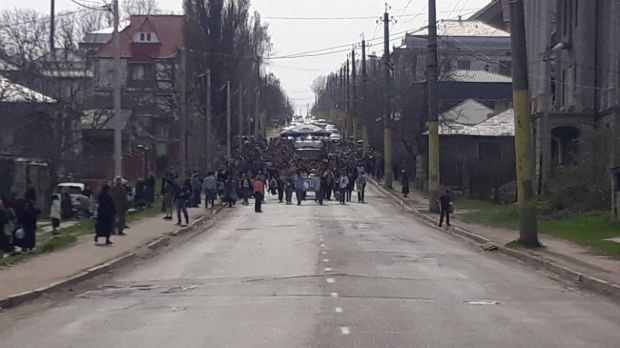 сороки2.jpg