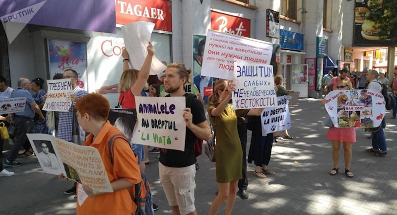звери митинг.jpg