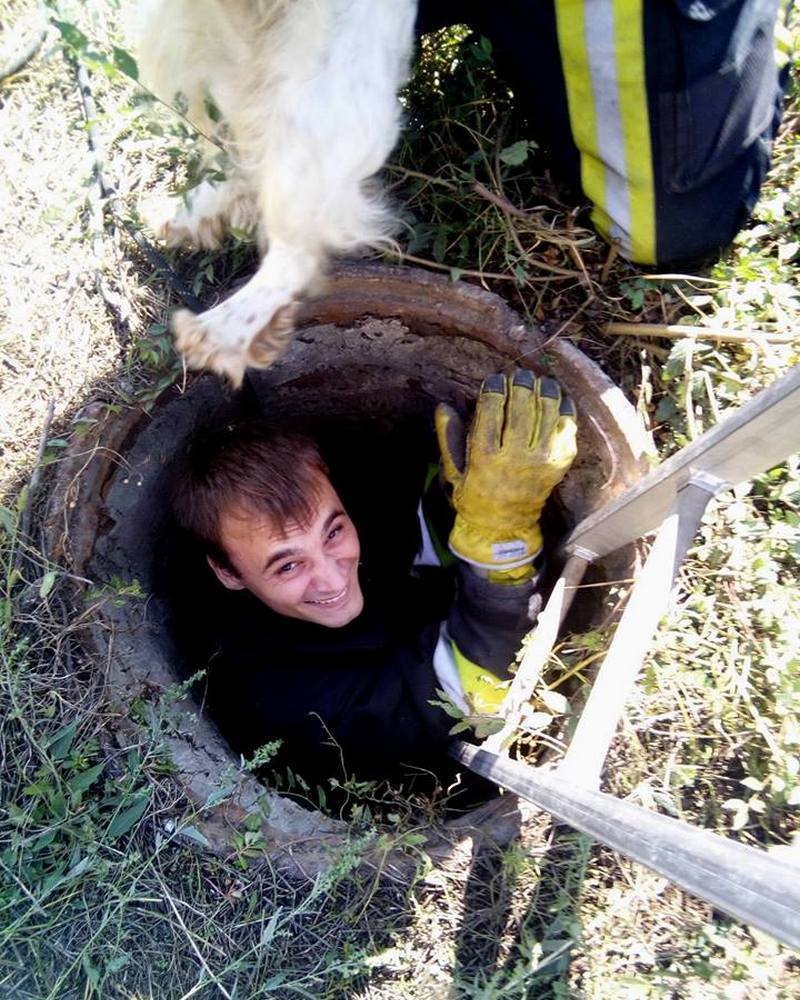 спасатели2.jpg