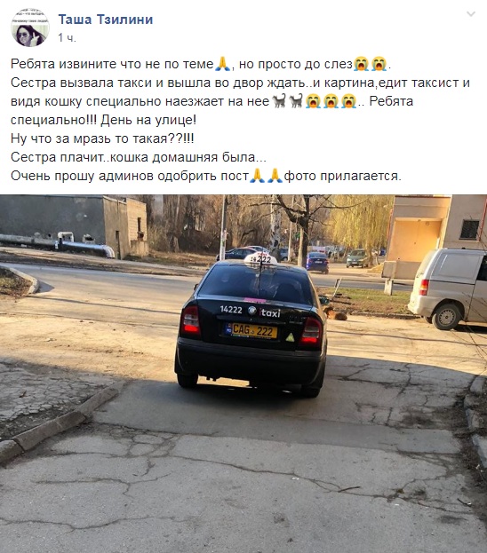 собака.jpg