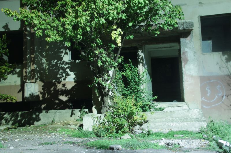 cainari1.jpg