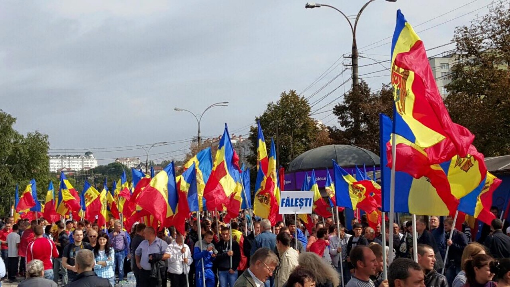 12038703_989791201063466_8403602945074224541_o.jpg 12038703_989791201063466_8403602945074224541_o.jpg