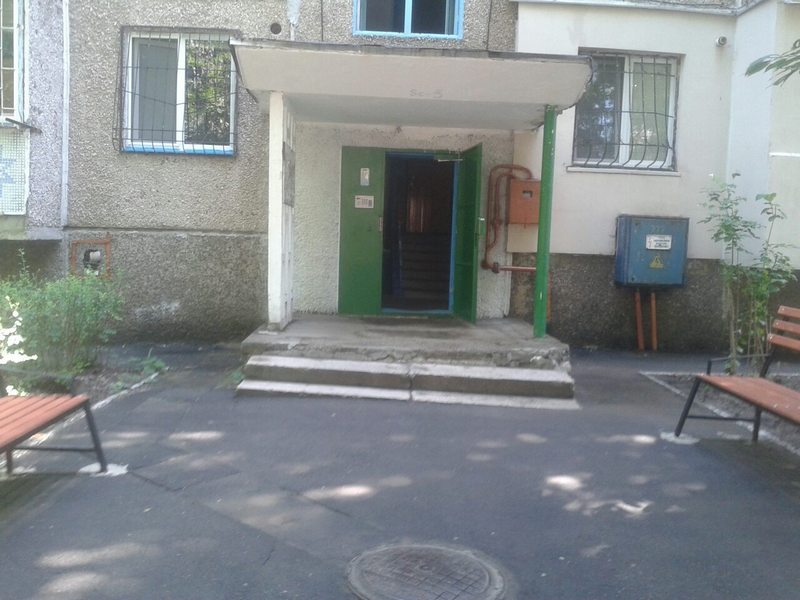 блохи.jpg