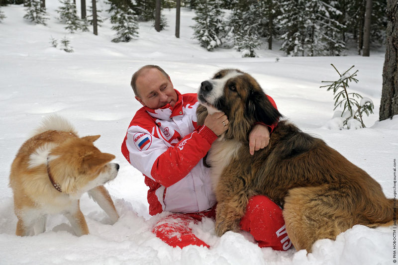 Путин.jpg