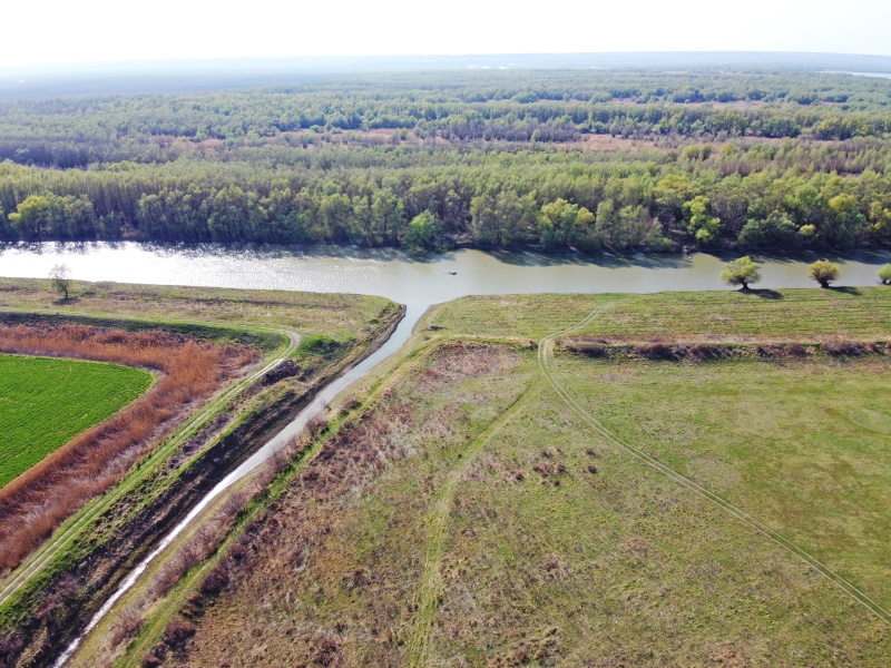 DJI_0916.jpg