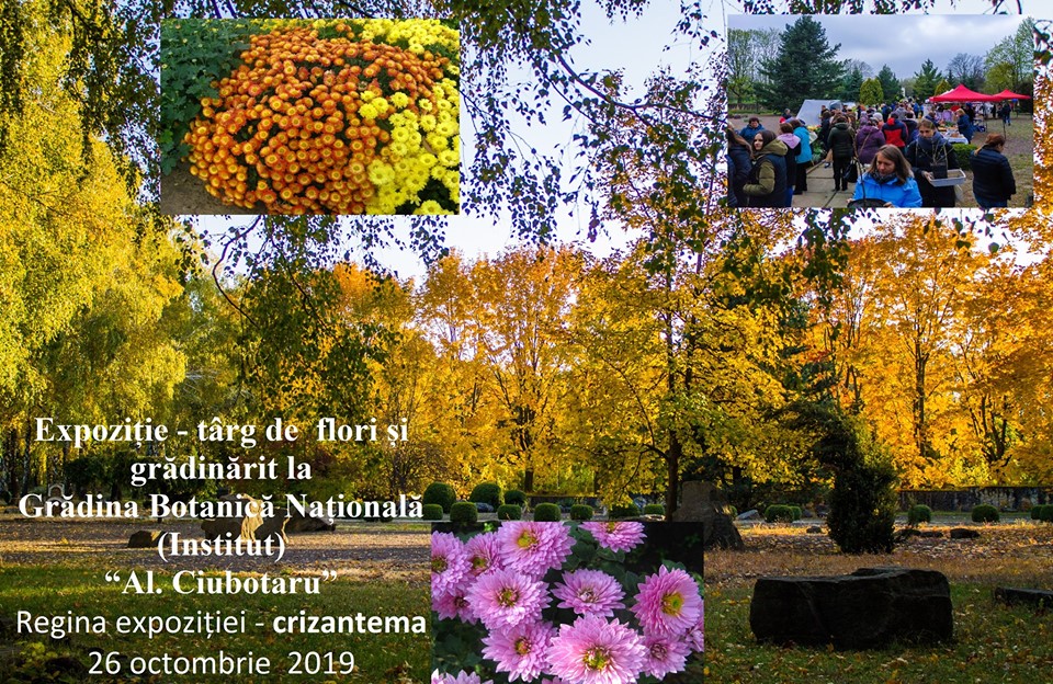 26 октября выставка продажа осенних цветов.jpg