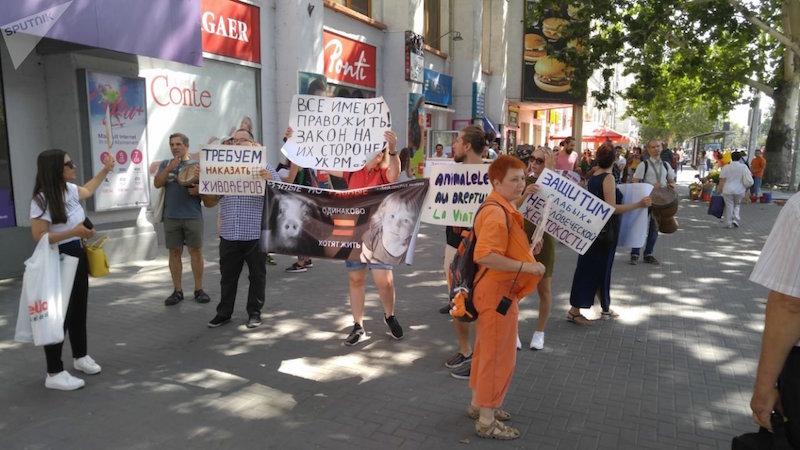 митинг звери.jpg