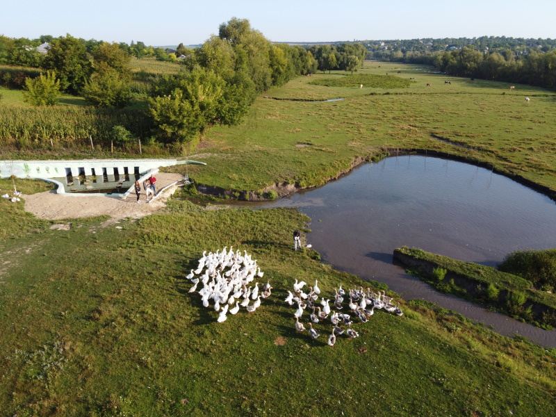 DJI_0661.JPG