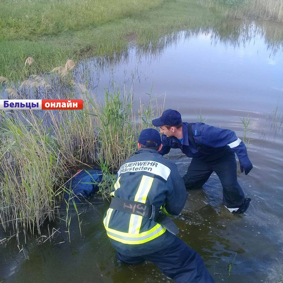 труп.jpg труп.jpg