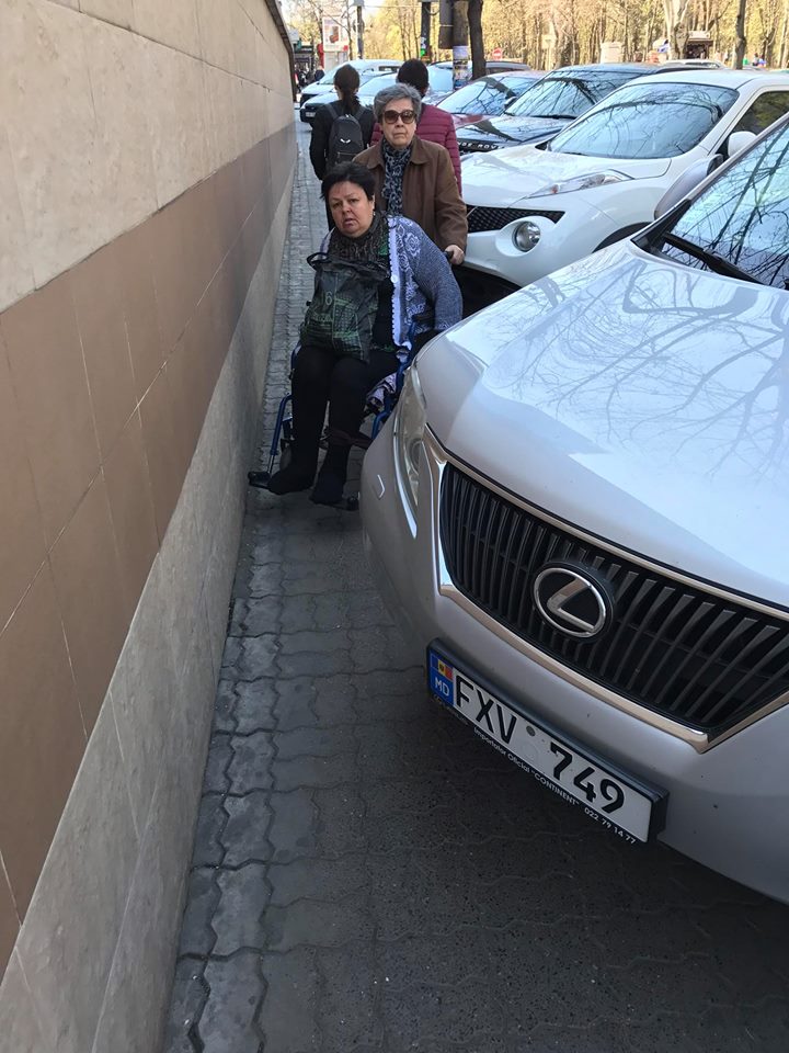 Lexus Lexus
